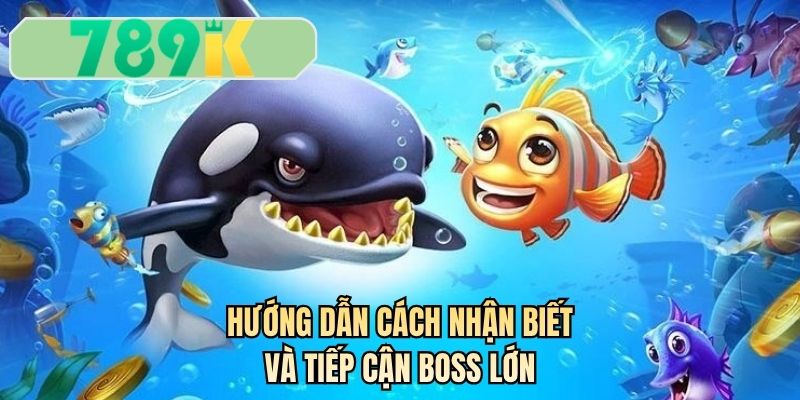 Hướng dẫn cách nhận biết và tiếp cận boss lớn