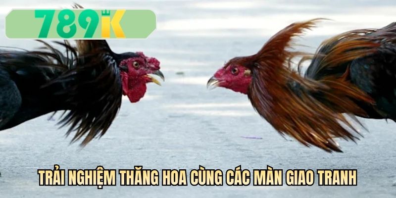 Trải nghiệm thăng hoa cùng các màn giao tranh